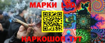 apvp Кингисепп