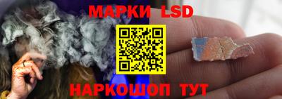 apvp Кингисепп