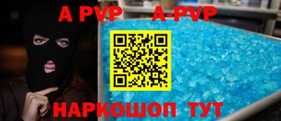 apvp Кингисепп