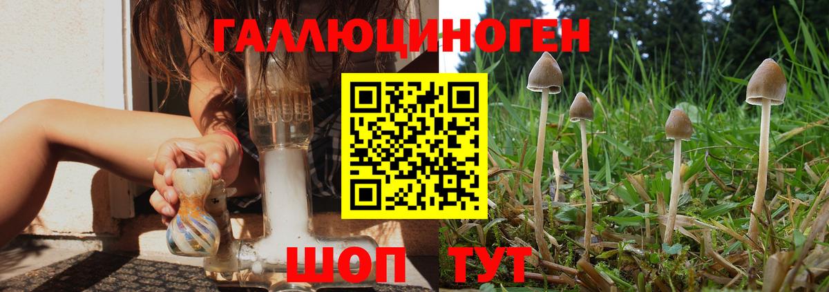 Галлюциногенные грибы мухоморы  Галлюциногенные грибы GOLDEN TEACHER  Костомукша  Вход с VPN 