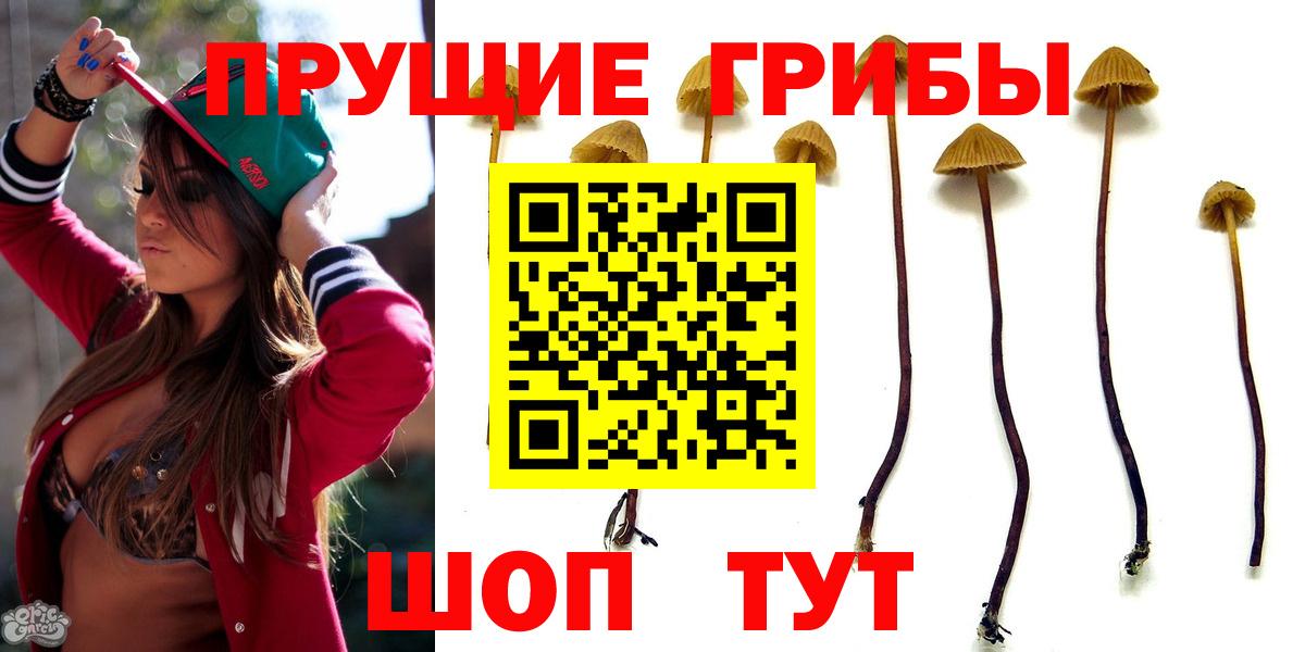 Галлюциногенные грибы Magic Shrooms Костомукша