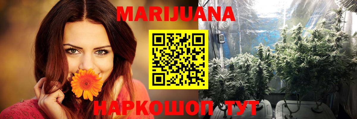 Бошки марихуана сатива Костомукша