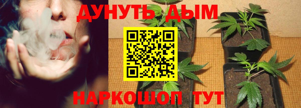Костомукша  МАРИХУАНА индика  Вход с VPN  Каннабис марихуана 
